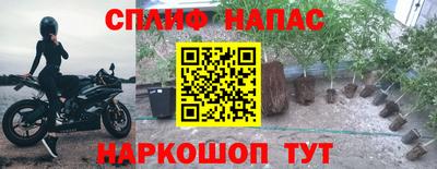 гидра Бузулук