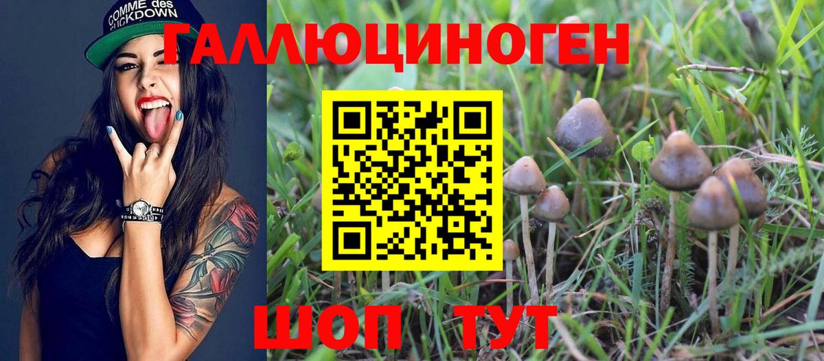 Галлюциногенные грибы мицелий Электросталь