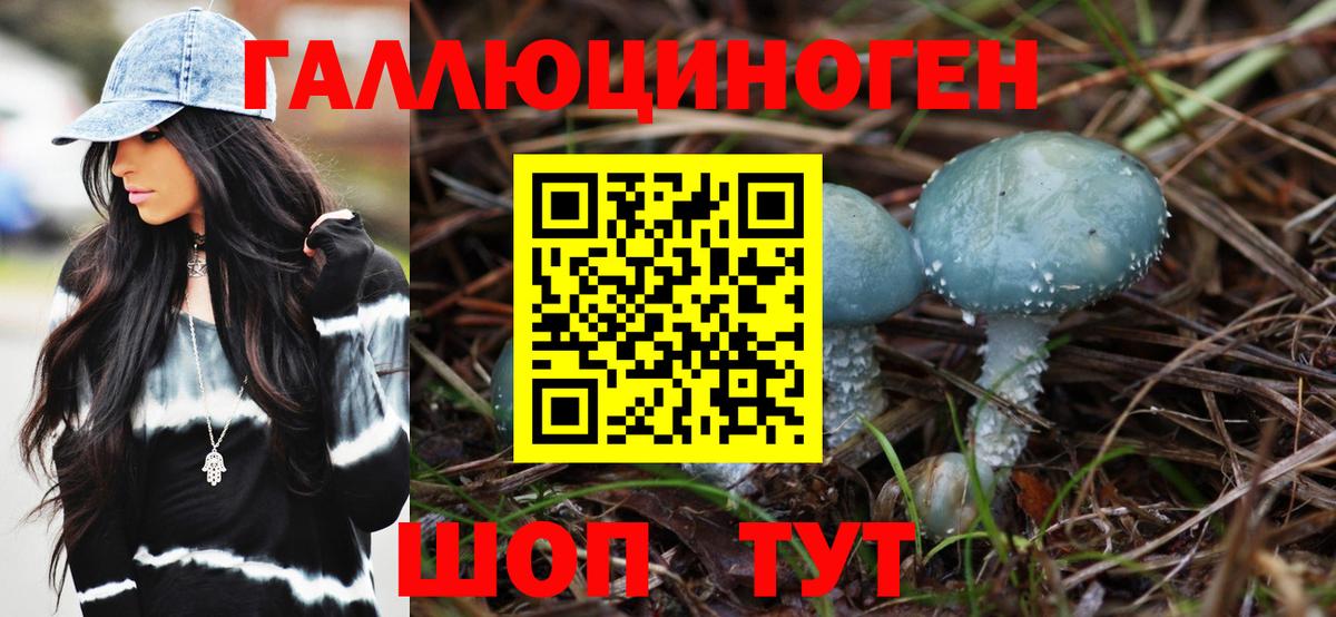 как найти закладки  Галлюциногенные грибы MAGIC MUSHROOMS  Вход с VPN  Электросталь 